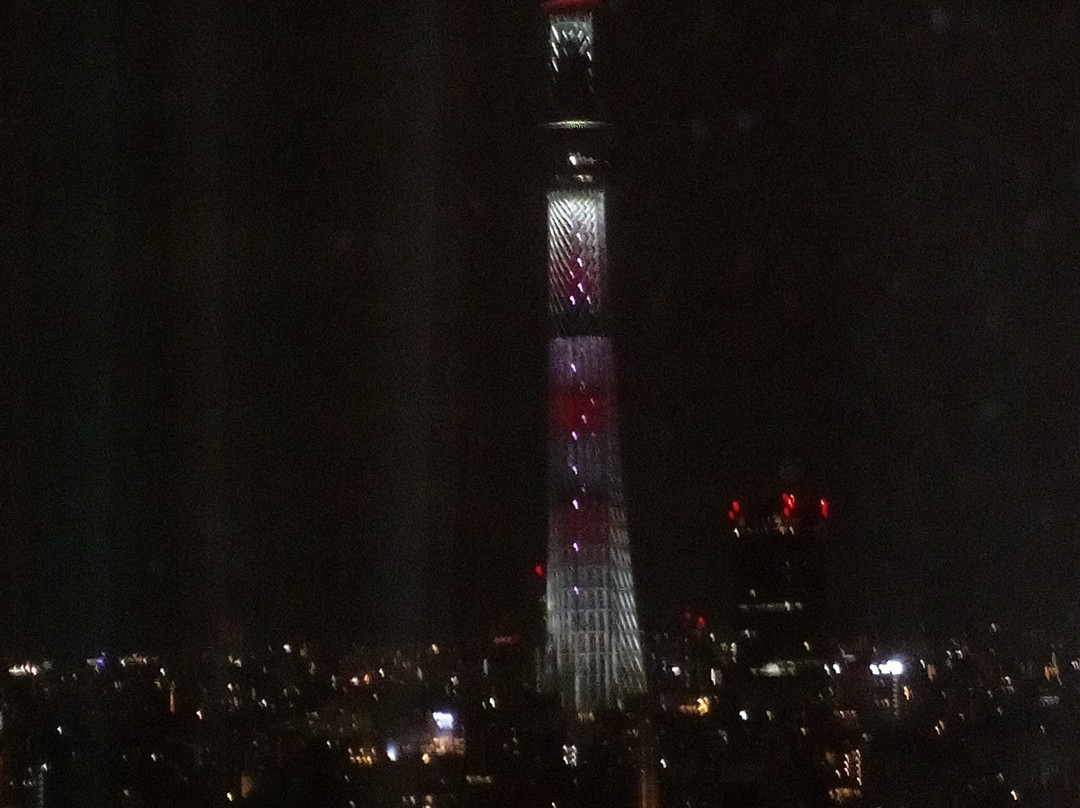 东京两国第一酒店主图