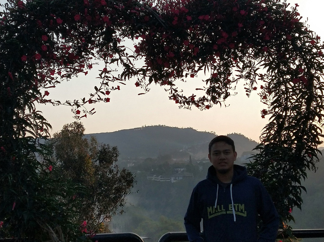 Trizara Resorts主图