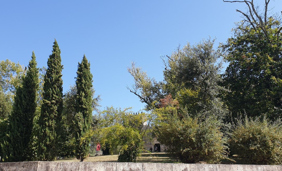 Parque do Castelo e Paco dos Duques de Braganca景点图片
