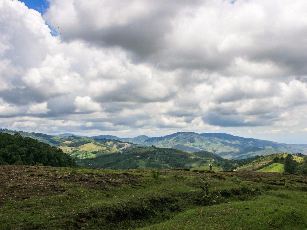 La Reserva Nacional Forestal Bosque de Yotoco景点图片