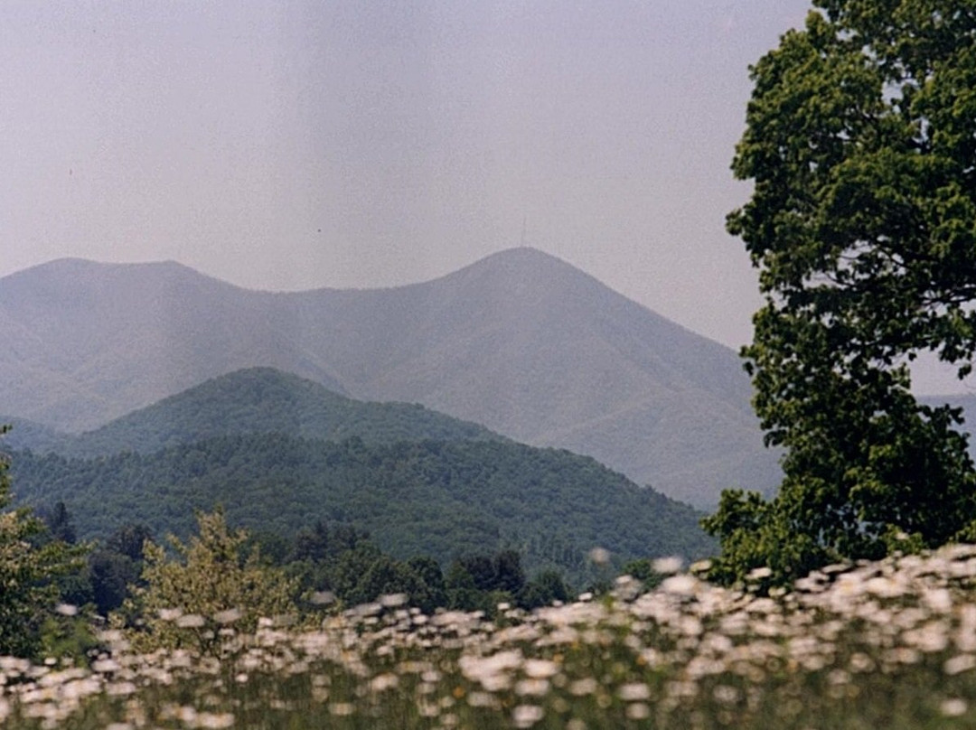 Candler旅游攻略图片