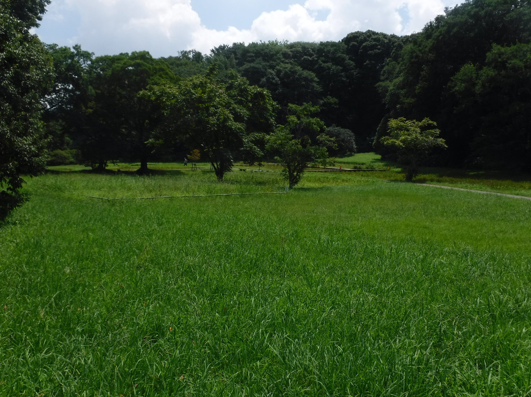 Imbanuma Bicycle Road-佐仓市必去景点