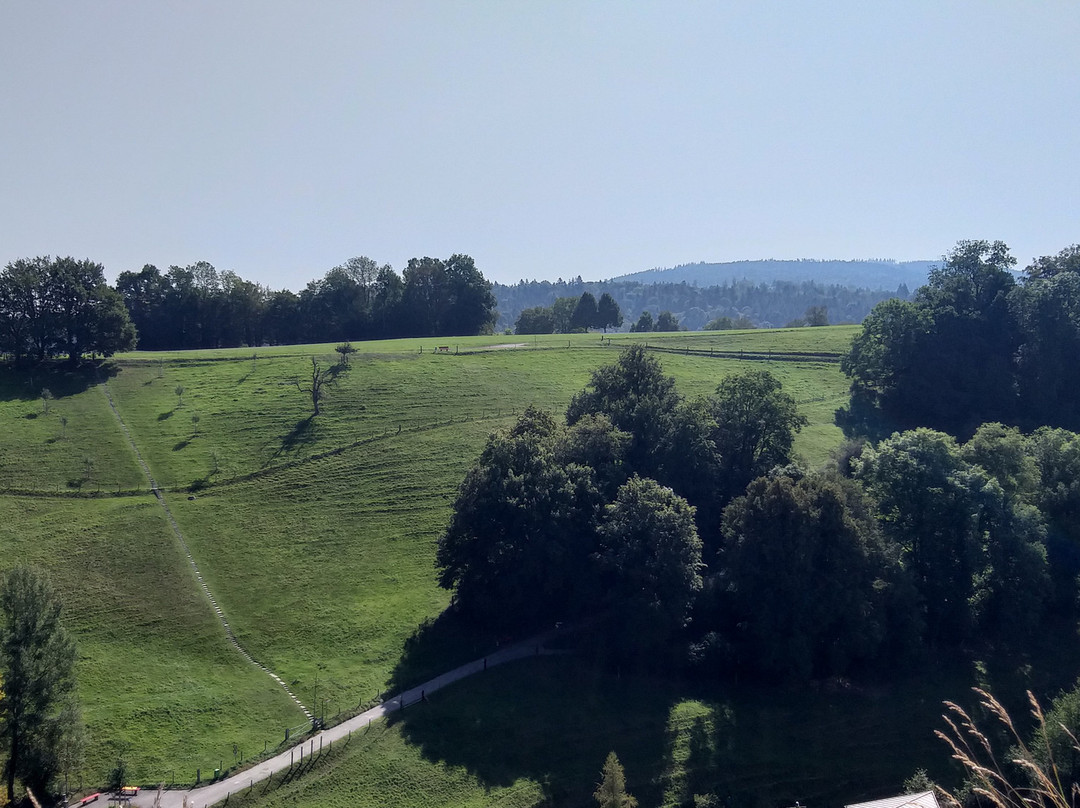 Schloss Lenzburg - Museum Aargau景点图片