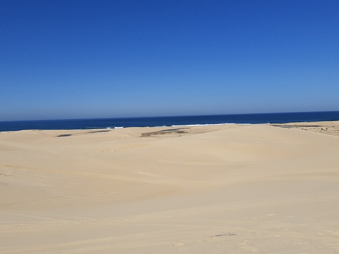 Stockton Sand Dunes景点图片