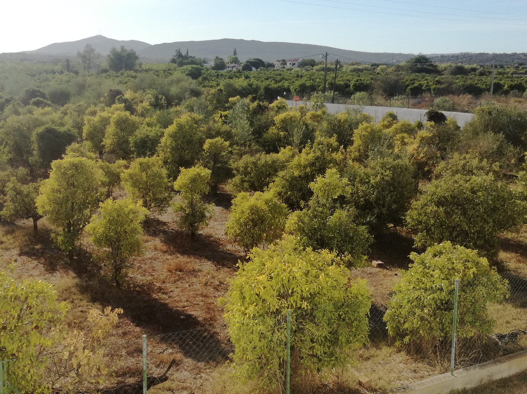 Vilacampina Guesthouse主图