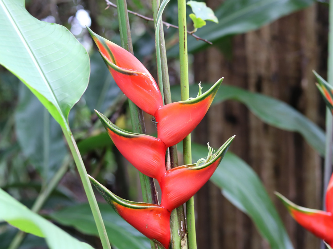 Pousada Mangabeiras主图