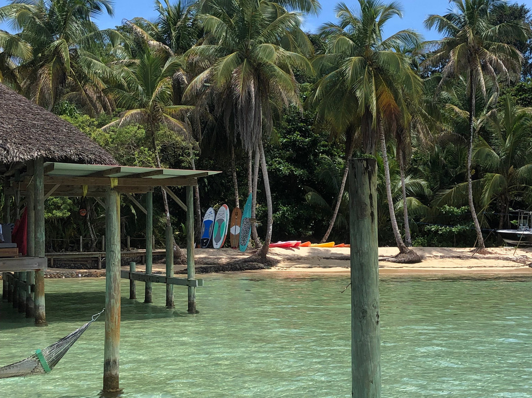Isla Bastimentos旅游攻略图片