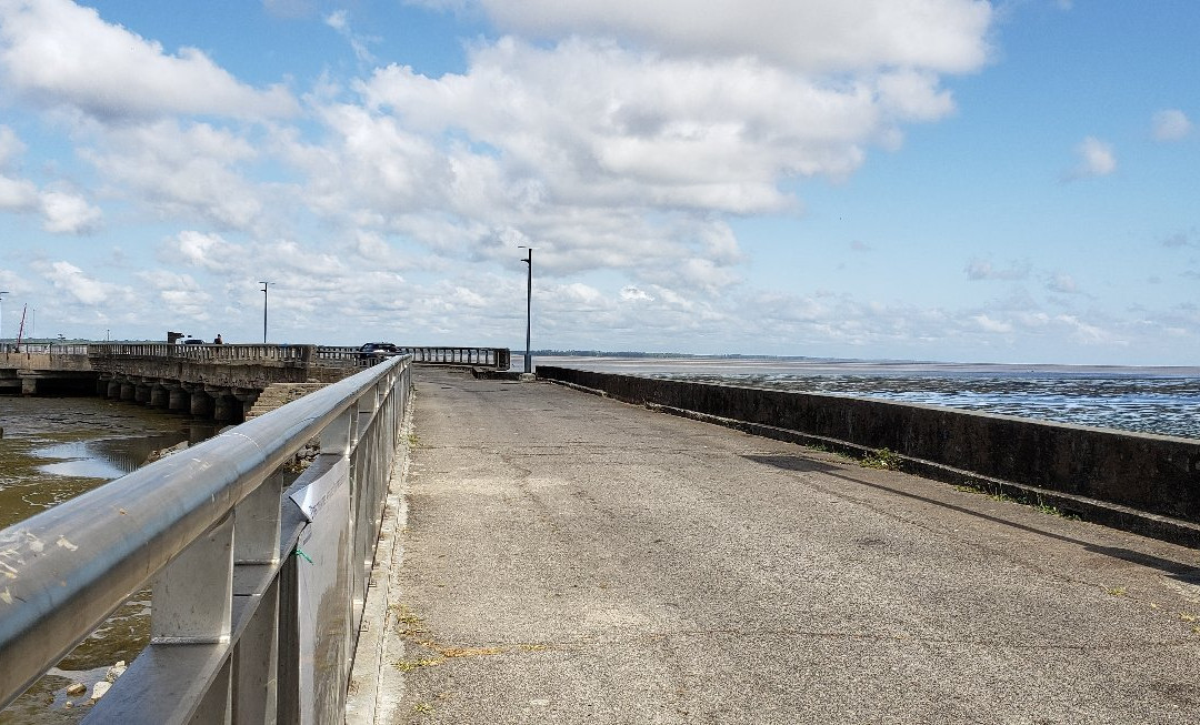 Vieux Port-卡宴必去景点