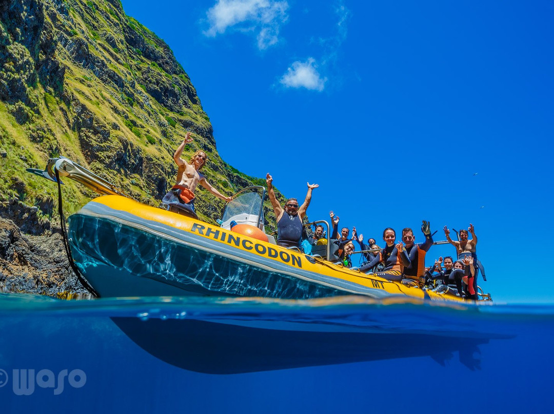 Haliotis Dive Centre Santa Maria-波尔图镇必去景点