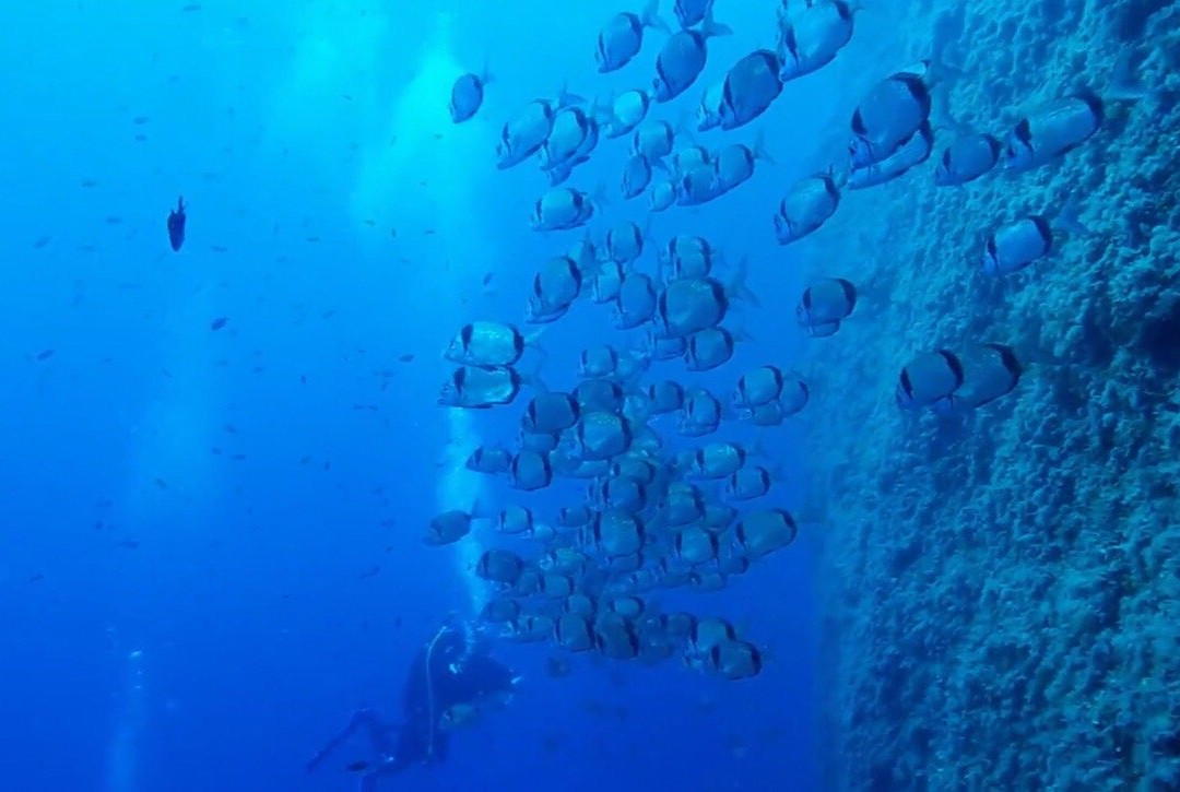 Nautilus Technical Diving Center-Santo Stefano al Mare必去景点