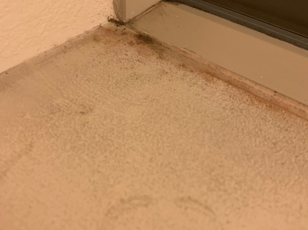 费尔法克斯旅馆主图