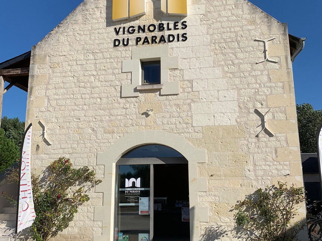 Vignobles Du Paradis景点图片