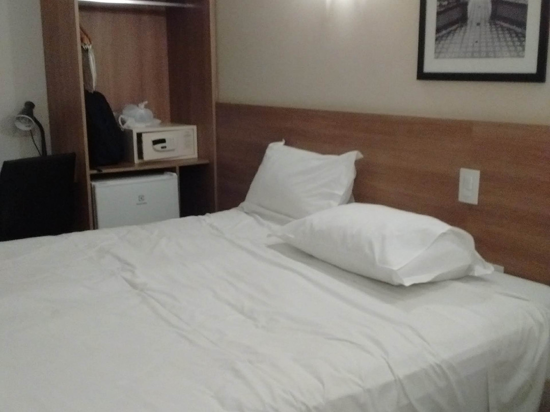 Nobile Hotel Juiz de Fora主图