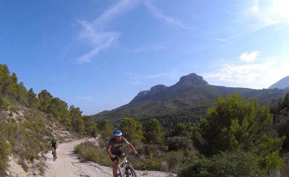Snakebite MTB Adventures景点图片