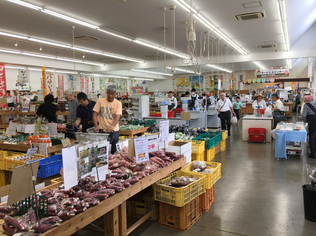 Pocket Farm Dokidoki Tsukuba Ushiku-牛久市必去景点