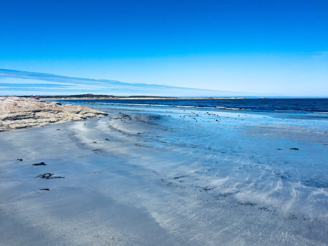 Cape Island Walking Trail景点图片