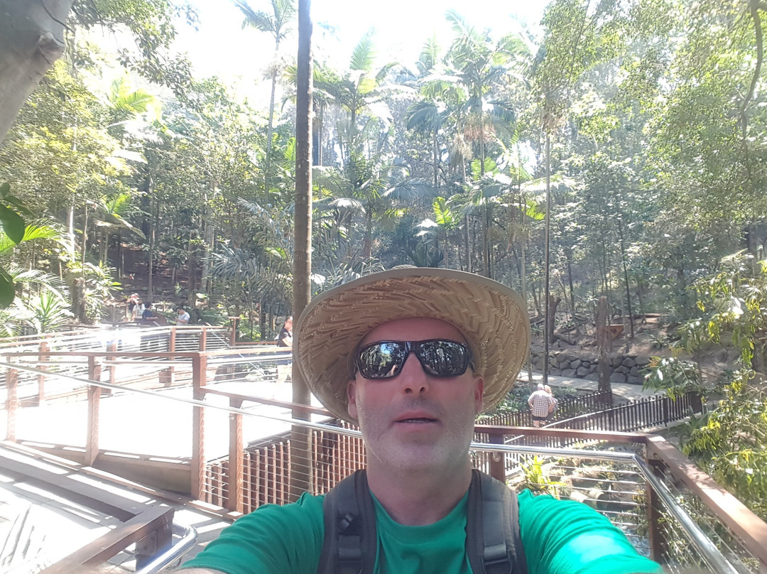 Treetop Challenge-可伦宾必去景点