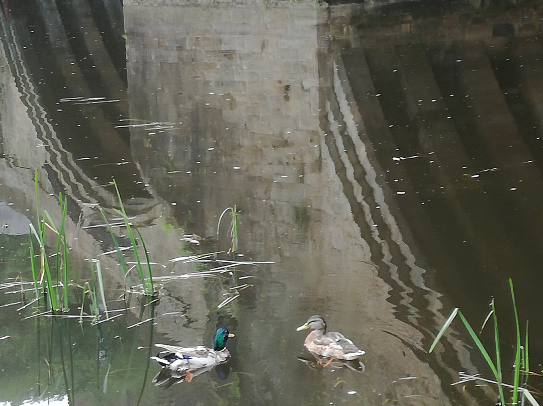 Durham Riverside Walk-达勒姆必去景点