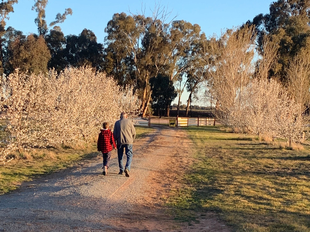 Country Carriage Bed & Breakfast主图