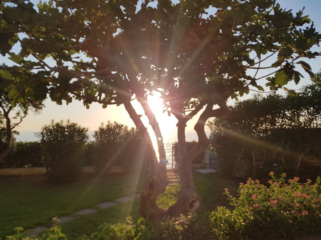 B&B Villa Addaura主图