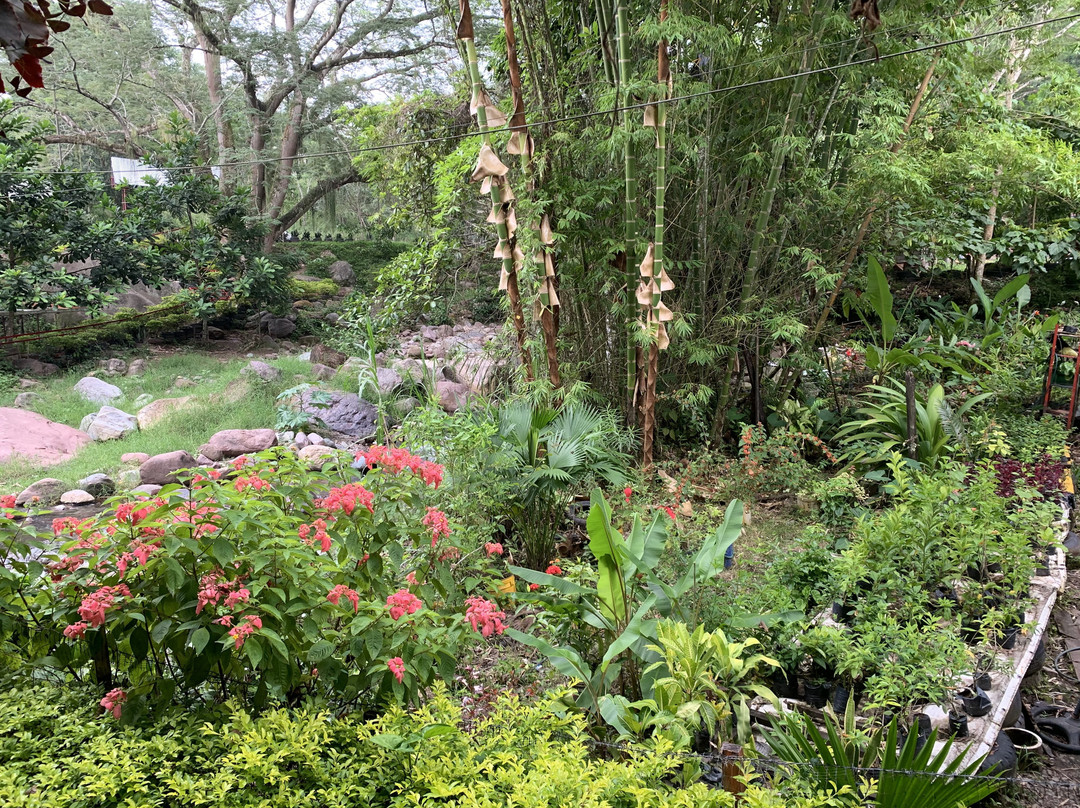 Finca Hostal La Danta主图