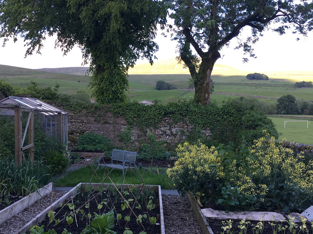 The Rowe House主图