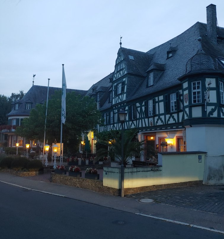 Hotel Schwan主图