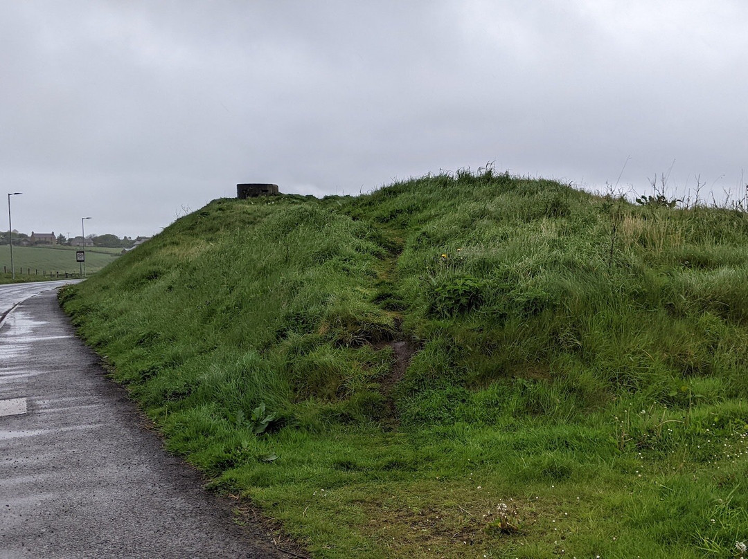 The Hillock