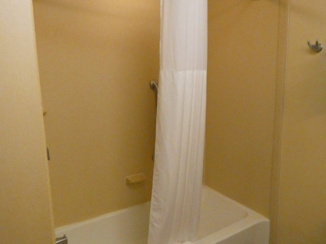 锡拉丘兹伊利大道／i-690 汉普顿套房酒店主图