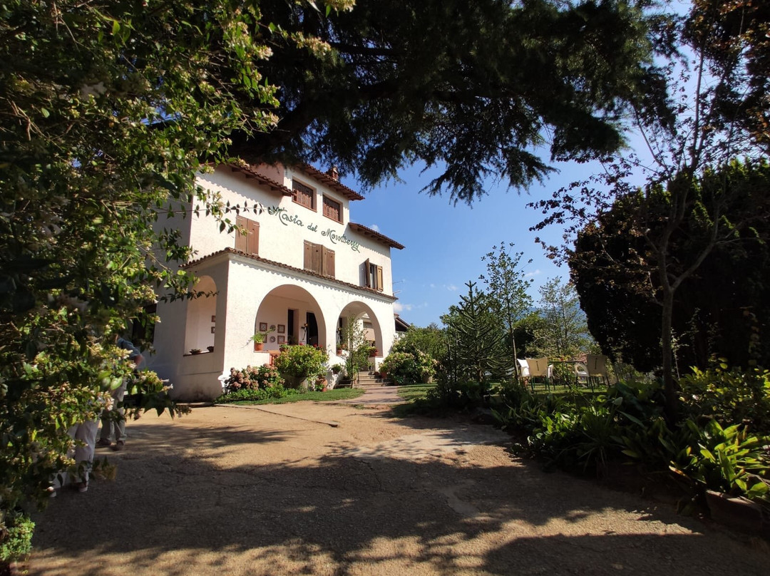 Masia del Montseny Hotel主图