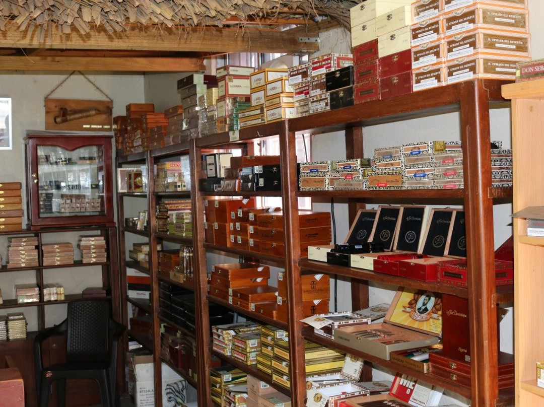 Fifi Jewelry And Cigar Store-普拉塔港必去景点