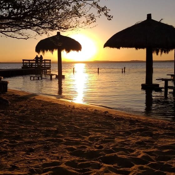 Ilha Canela-Palmas必去景点