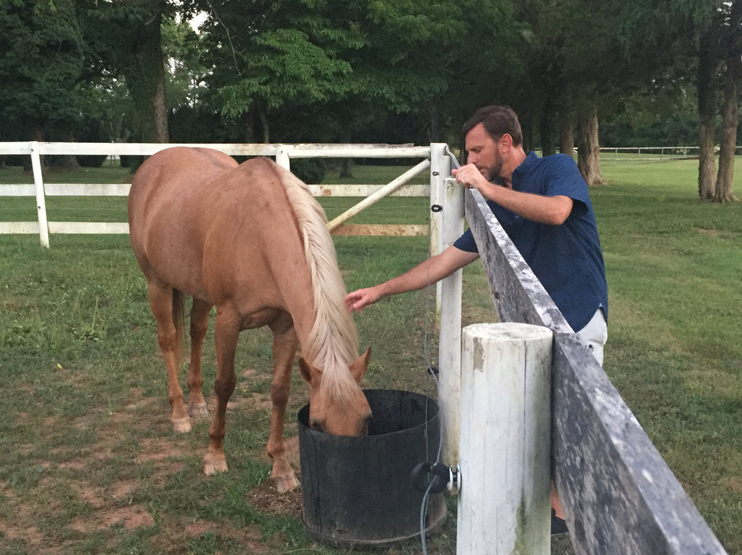 Prospect Hill Inn主图