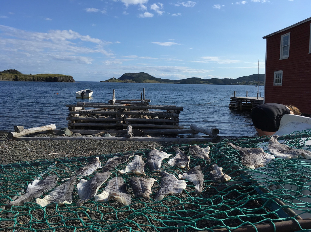 Sherwood Suites主图