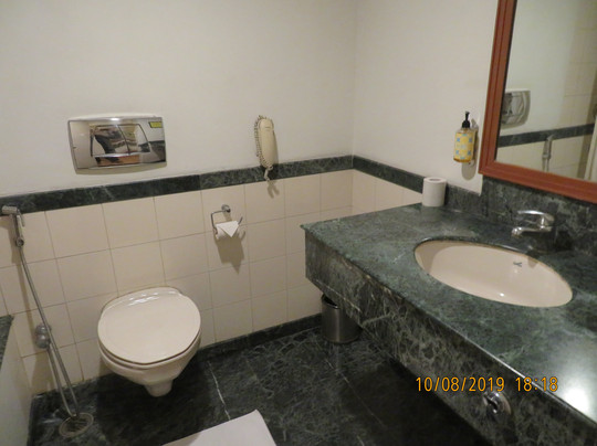 印多尔柠檬树酒店主图