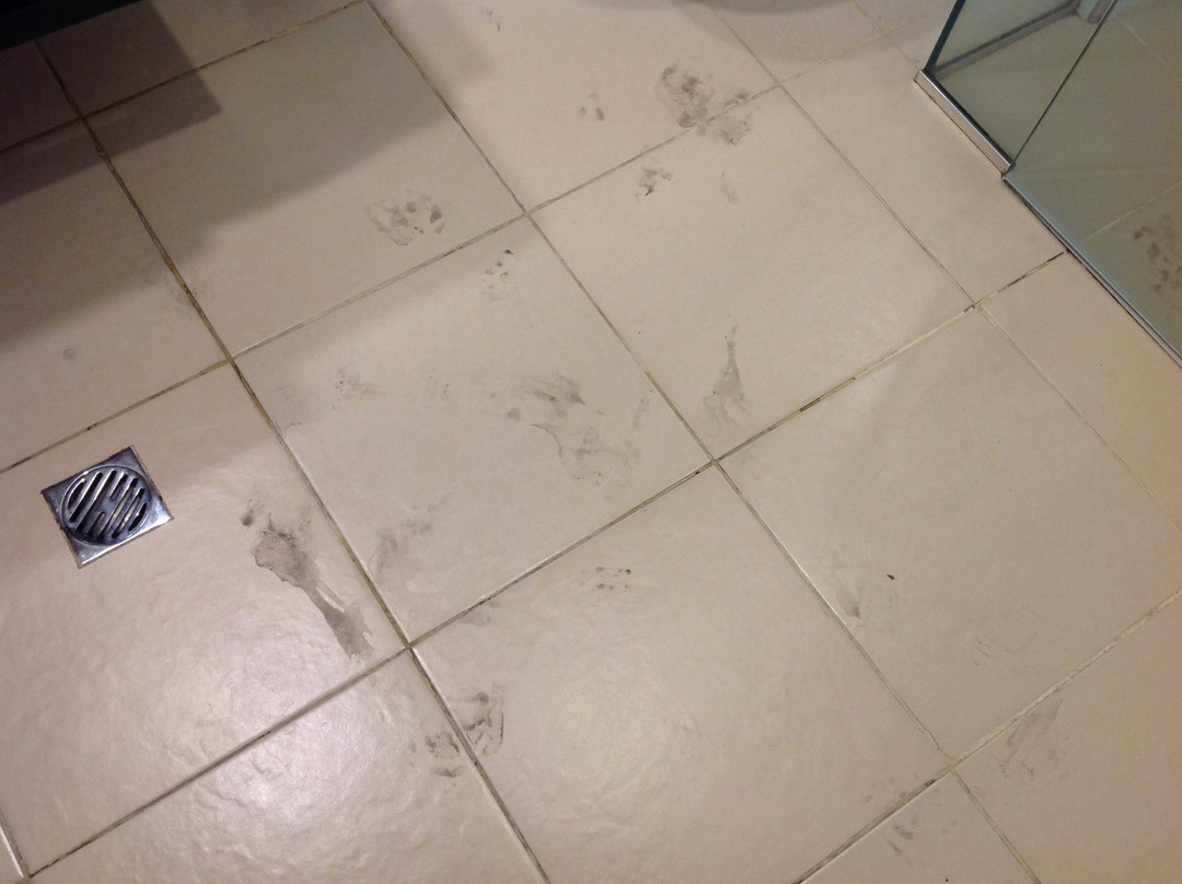 塔努阿海滨酒店主图