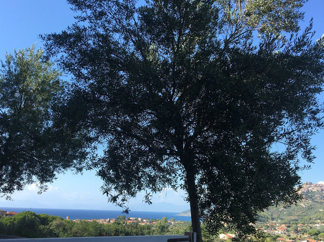 Poggio del Cenito主图