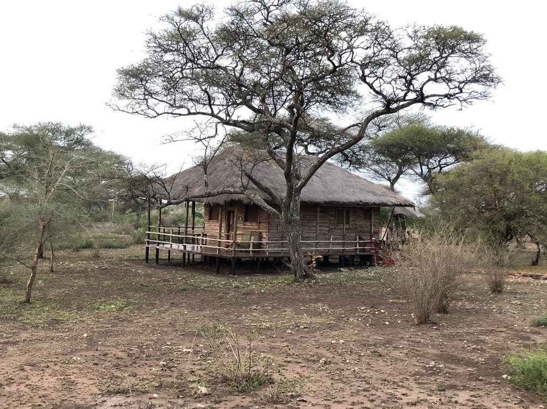 依考玛探险营地山林小屋主图