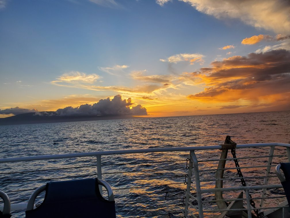 Maui Sunset Dinner Cruise-拉海纳必去景点