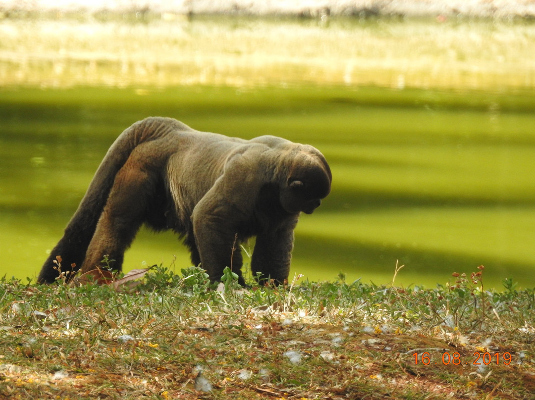 BioParque Vale Amazônia-Parauapebas必去景点