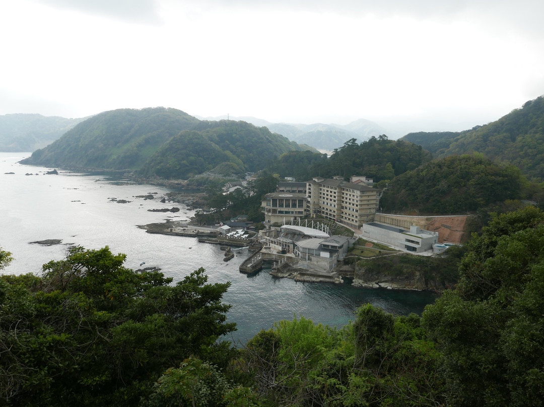 Hiyoriyama Seacoast-丰冈市必去景点