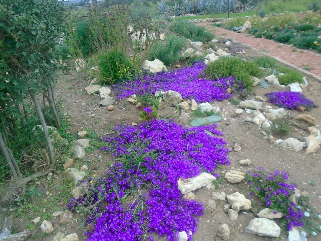 Melkhoutfontein