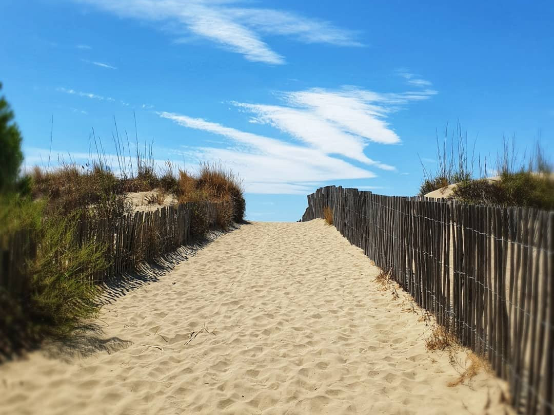 Plage de l’Espiguette景点图片