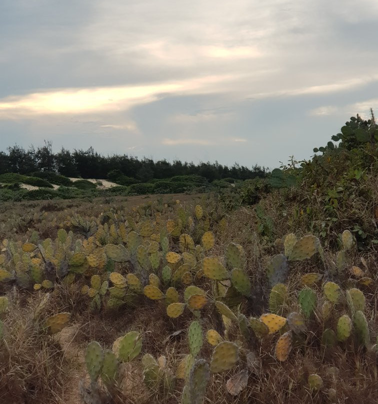 Ganh Ong - Bai Xep-An Chan必去景点