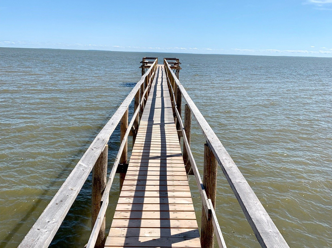 Matlock Beach-Dunnottar必去景点