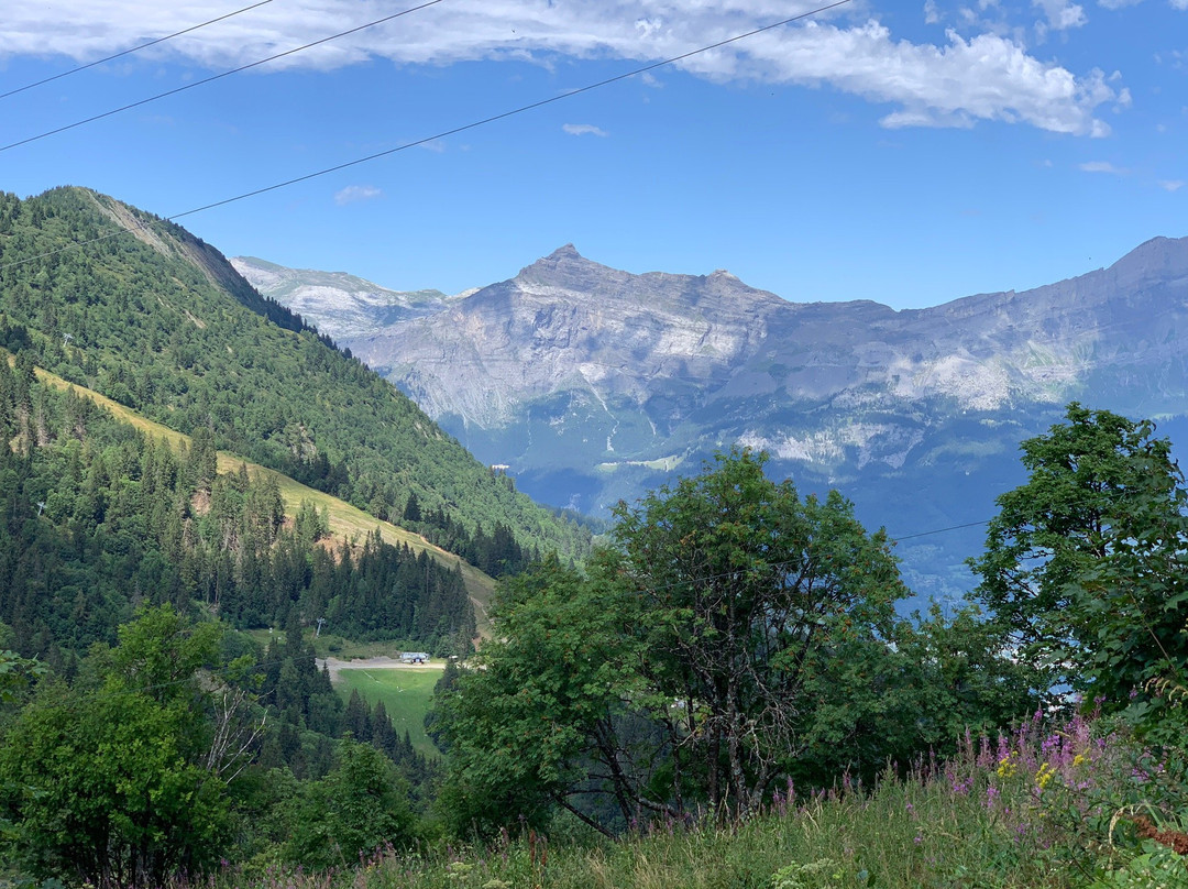 Grand Balcon Nord: Bellevue-Prarion-莱苏什必去景点