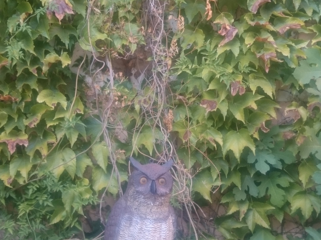 Finca Villa Juan主图