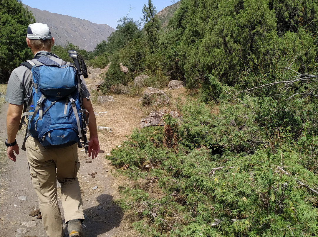 Natural Fresh Water Hot Spring-Yarovoye必去景点