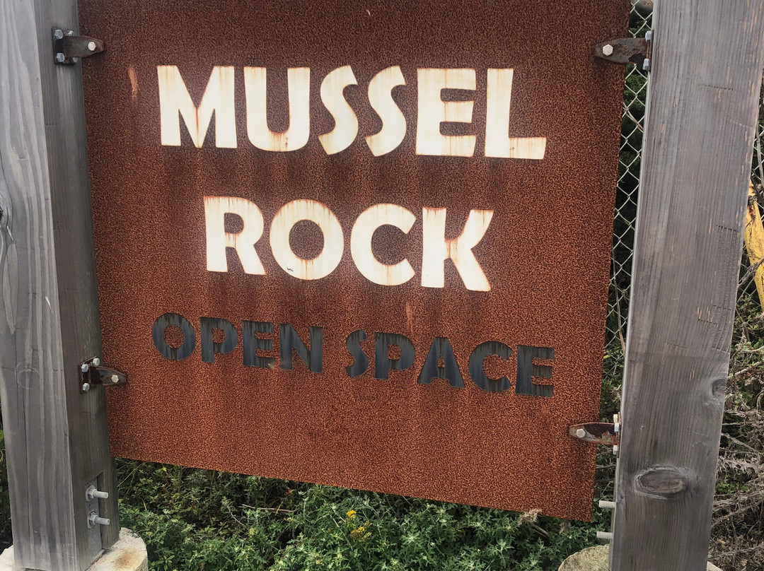 Mussel Rock Park-戴利城必去景点