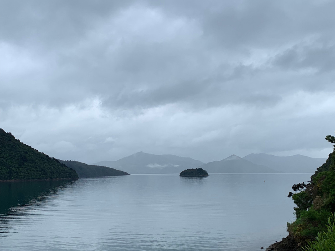 Karaka Point Walk景点图片